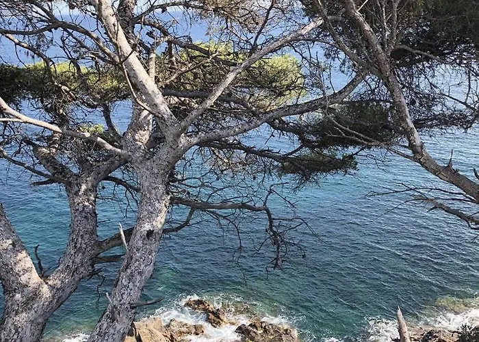 Lägenhet Confort A *